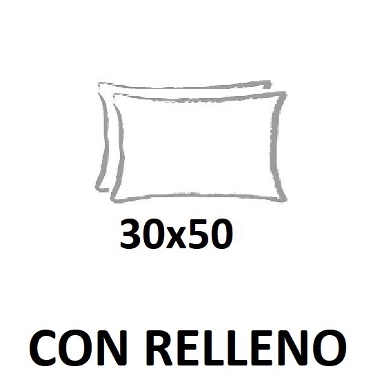 Cojín con relleno de 30x50