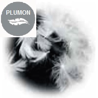 Plumon-Pluma