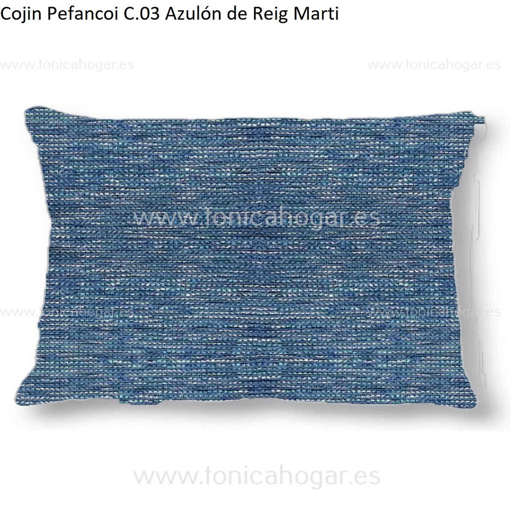 Cojín Jacquard Pefancoi Ct Reig Marti Azulón Cojín 30x50 