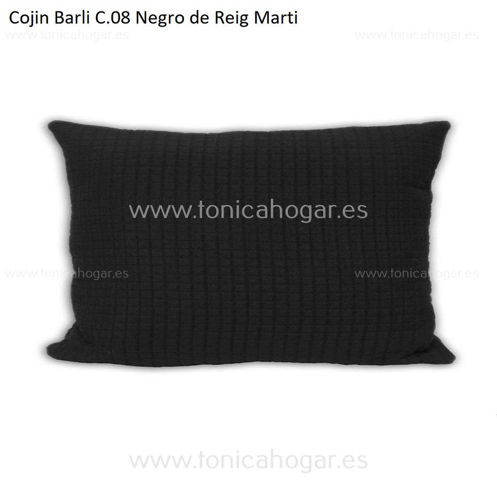 Cuadrante Con Relleno Barli Reig Marti Negro Cojín 30x50 