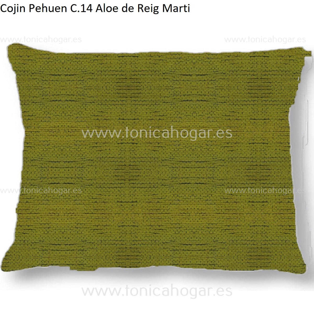 Cuadrante Con Relleno Pehuen Reig Marti Aloe Cojín 45x70 