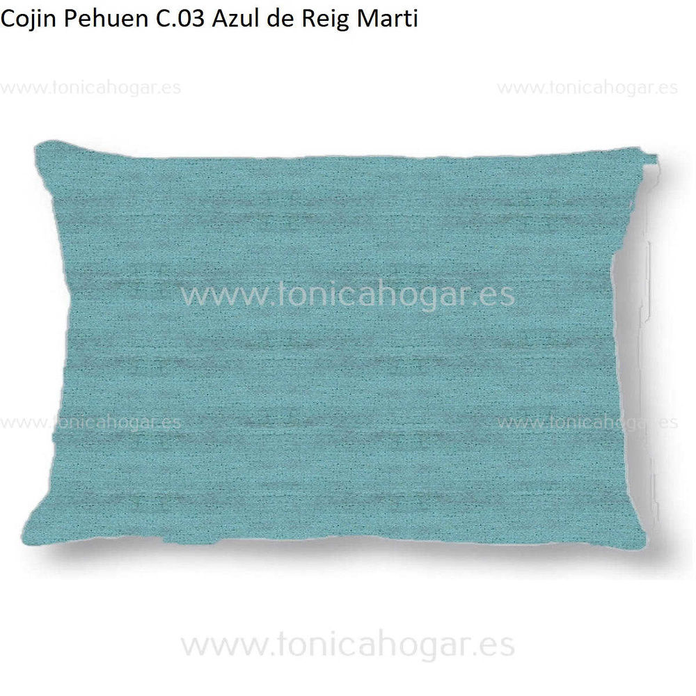 Cuadrante Con Relleno Pehuen Reig Marti Azul Cojín 30x50 