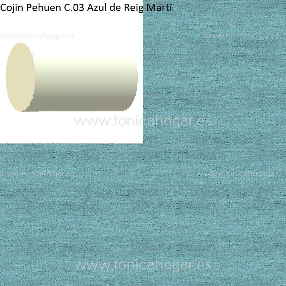 Cuadrante Con Relleno Pehuen Reig Marti Azul Rulo 40x20 