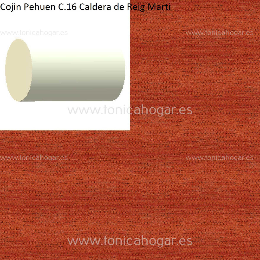 Cuadrante Con Relleno Pehuen Reig Marti Caldera Rulo 40x20 