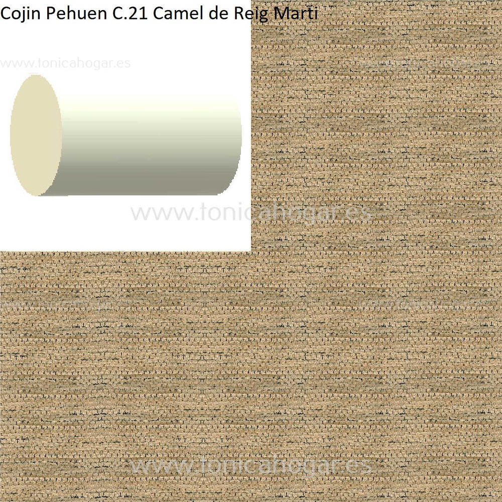 Cuadrante Con Relleno Pehuen Reig Marti Camel Rulo 40x20 