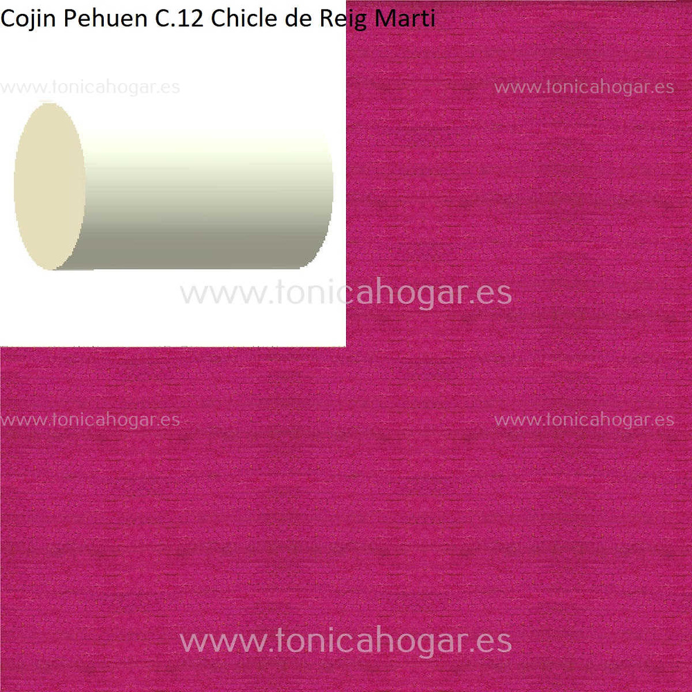 Cuadrante Con Relleno Pehuen Reig Marti Chicle Rulo 40x20 