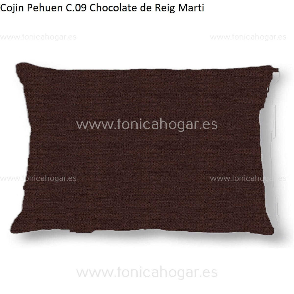 Cuadrante Con Relleno Pehuen Reig Marti Chocolate Cojín 30x50 