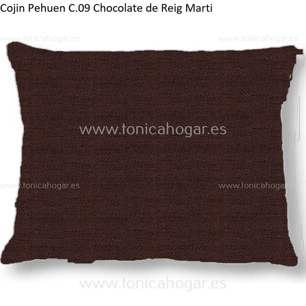 Cuadrante Con Relleno Pehuen Reig Marti Chocolate Cojín 45x70 
