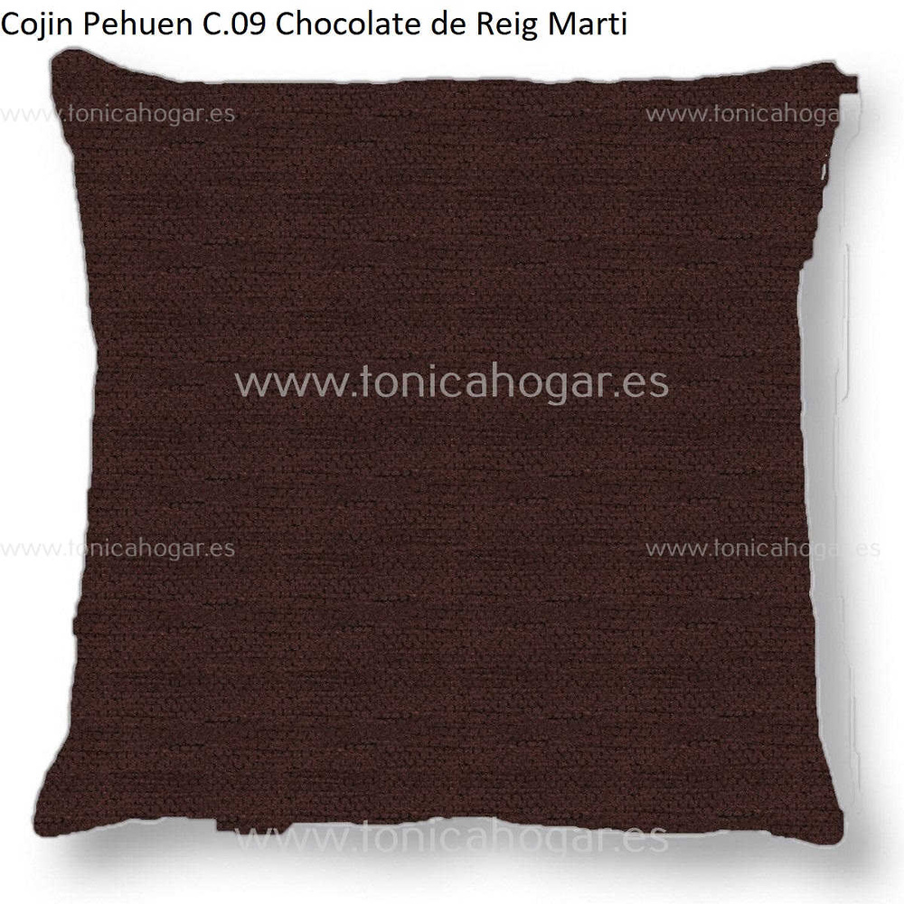 Cuadrante Con Relleno Pehuen Reig Marti Chocolate Cojín 50x50 