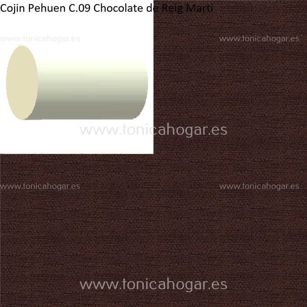 Cuadrante Con Relleno Pehuen Reig Marti Chocolate Rulo 40x20 