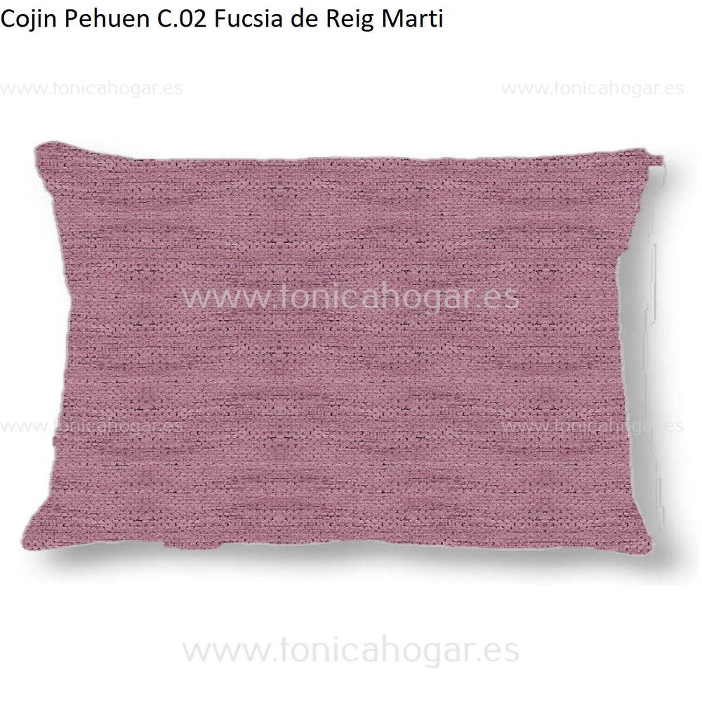 Cuadrante Con Relleno Pehuen Reig Marti Fucsia Cojín 30x50 