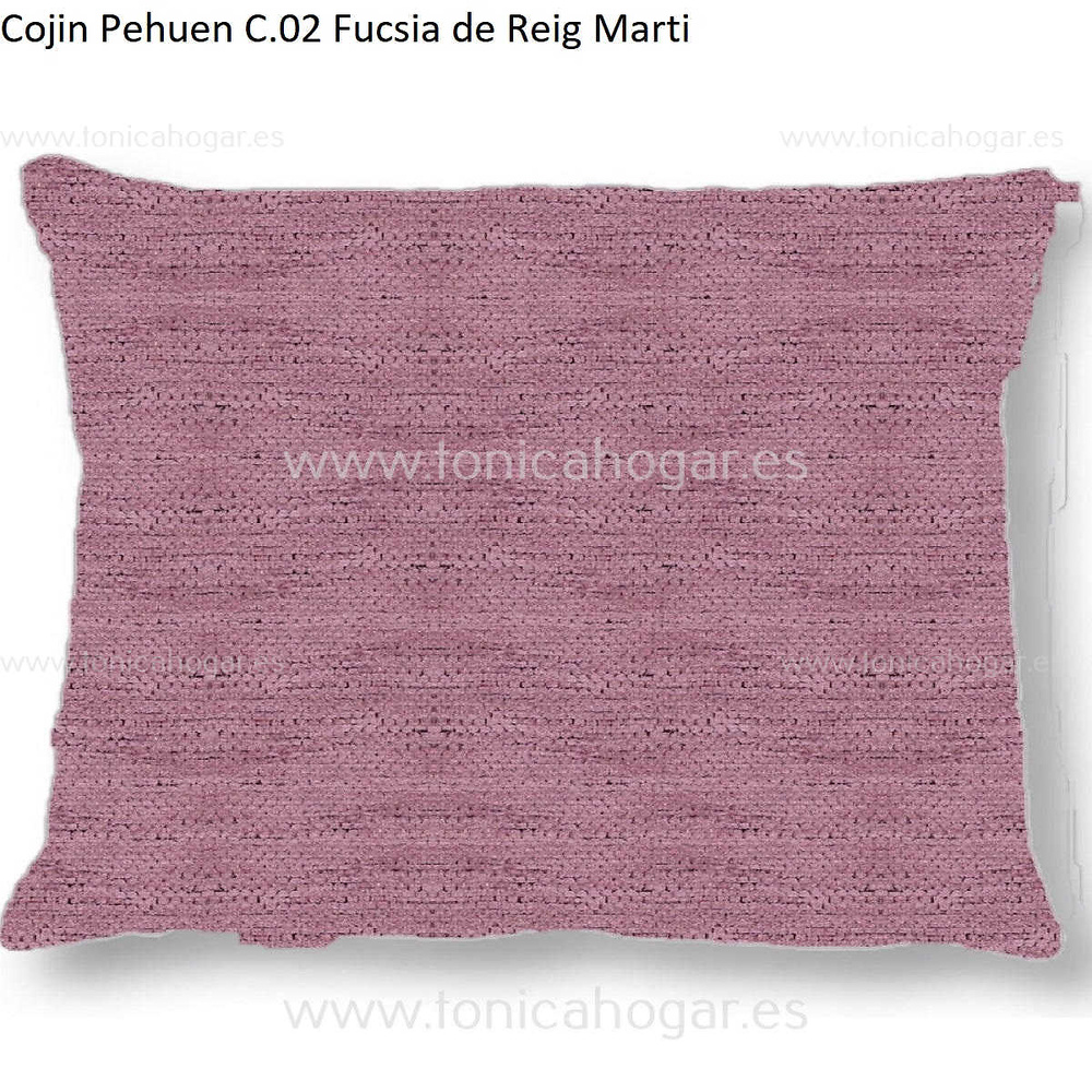 Cuadrante Con Relleno Pehuen Reig Marti Fucsia Cojín 45x70 