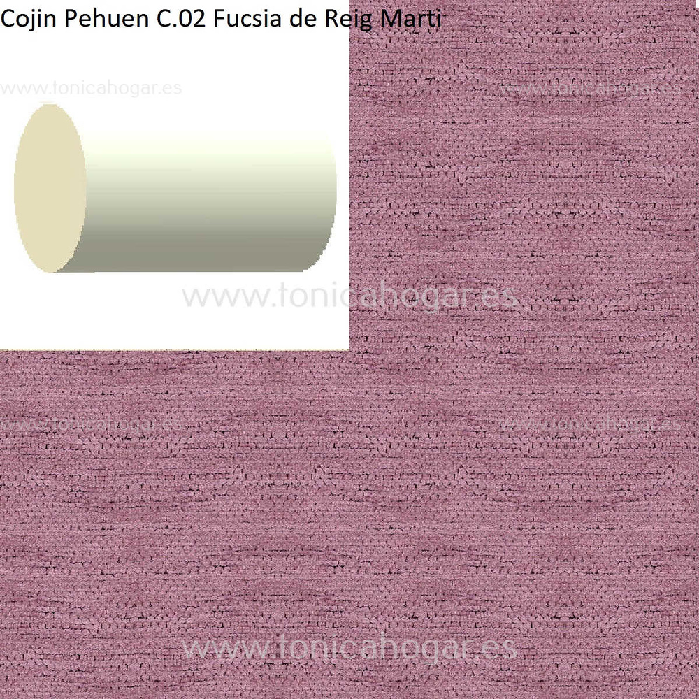 Cuadrante Con Relleno Pehuen Reig Marti Fucsia Rulo 40x20 