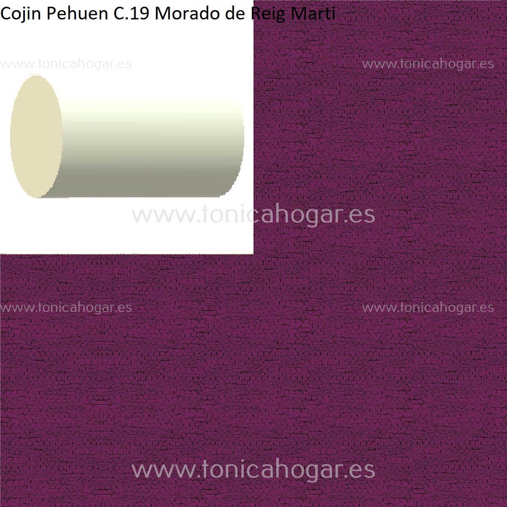 Cuadrante Con Relleno Pehuen Reig Marti Morado Rulo 40x20 