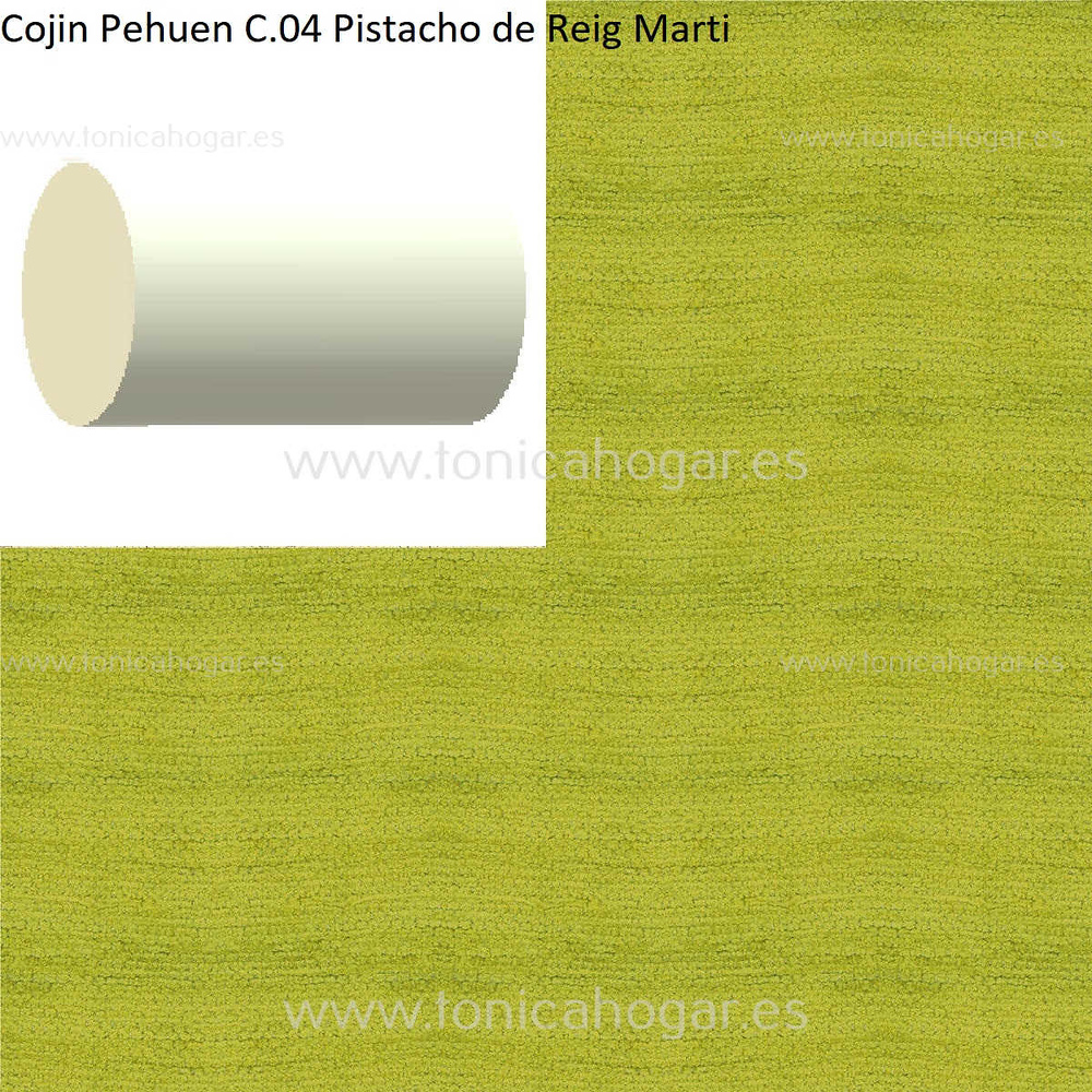 Cuadrante Con Relleno Pehuen Reig Marti Pistacho Rulo 40x20 