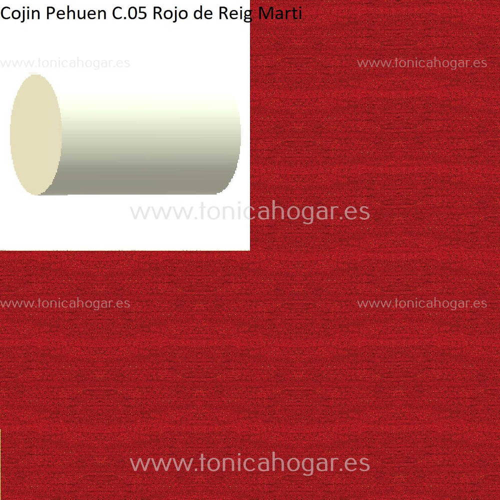 Cuadrante Con Relleno Pehuen Reig Marti Rojo Rulo 40x20 