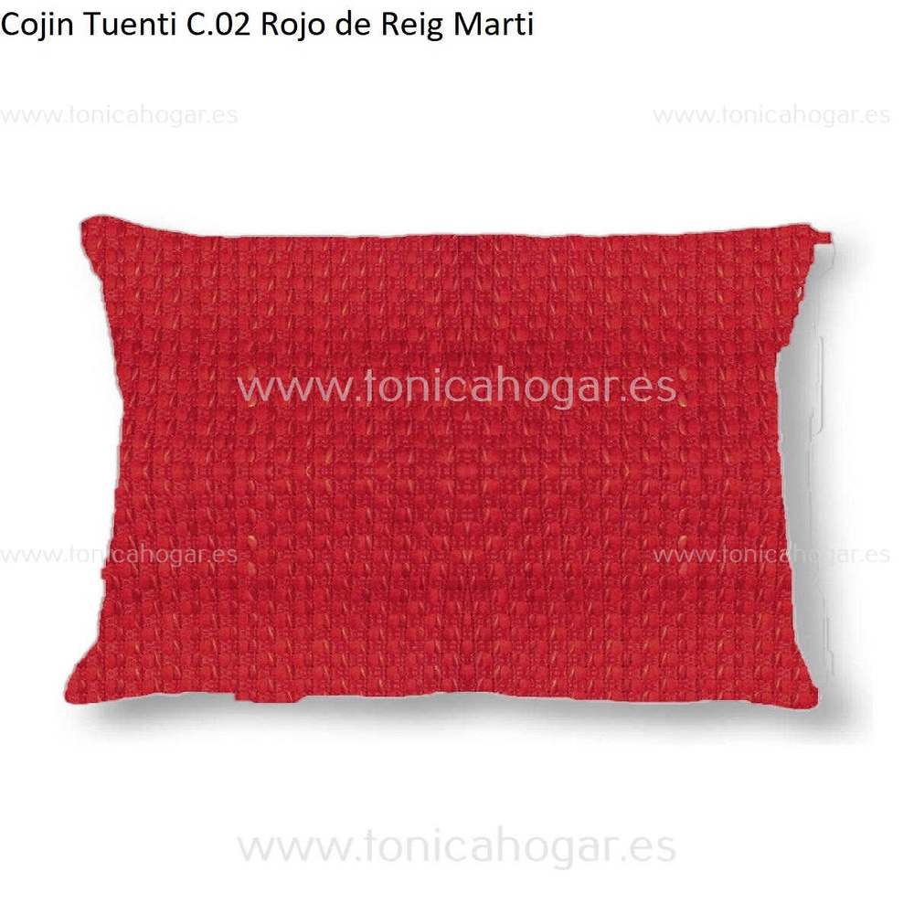 Cuadrante Con Relleno Tuenti Reig Marti Rojo Cojín 30x50 